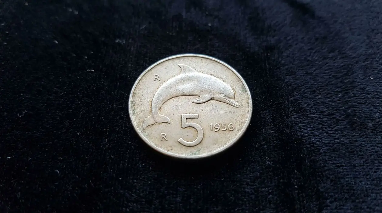 Moneta italiana da 5 lire del 1956 con delfino su sfondo nero
