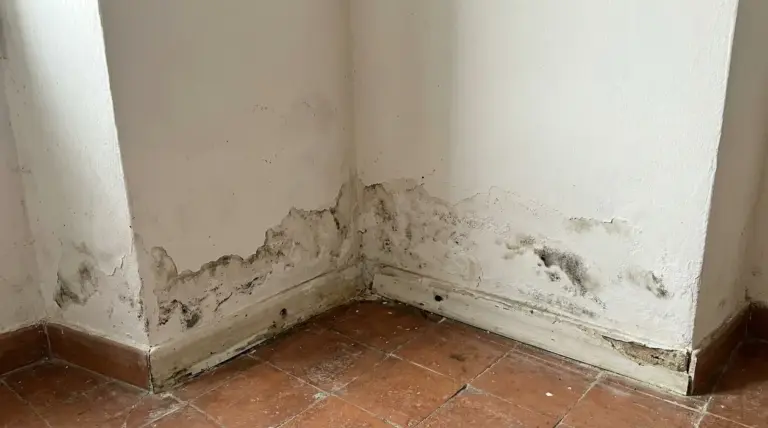 Macchie di umidità sui muri interni in basso vicino al pavimento in una stanza con piastrelle